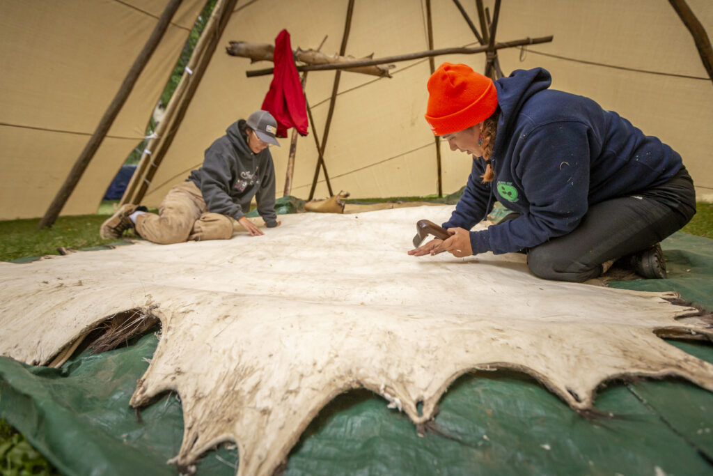 Recherche et innovation